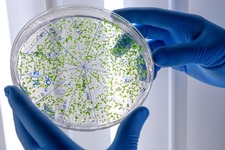 Microbiología